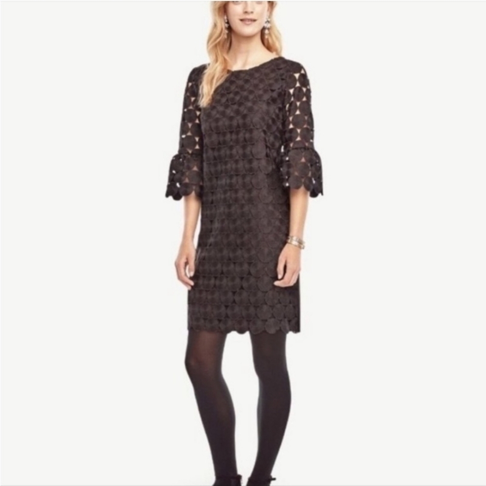 Ann Taylor sz 10 black circle dress ruffle sleeve - Picture 2 of 6